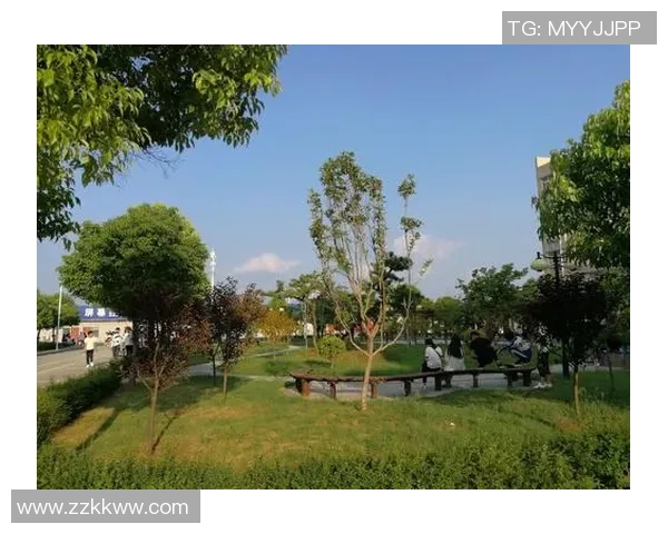 雏菊与足球的奇妙碰撞探索青春与梦想的交织之旅