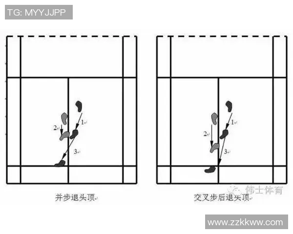 从零基础到高手之路羽毛球配合技巧全解析与实战经验分享