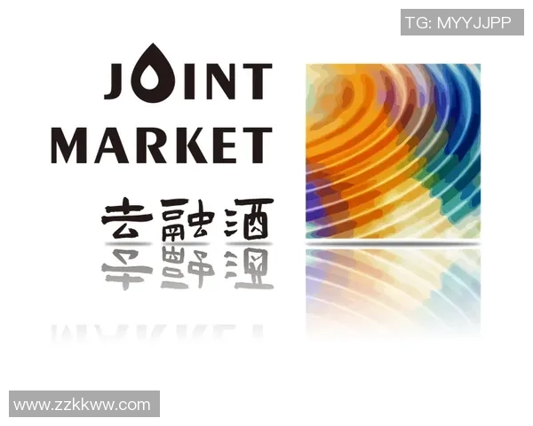 南京羽毛球队快攻革新之路探索与实践的深度剖析