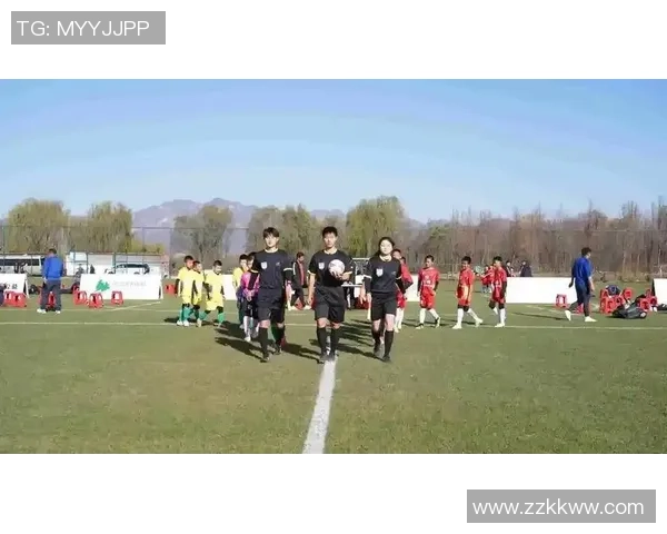 灵儿足球：探索青春与梦想交汇的绿茵场上奋斗之路