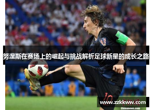 努涅斯在赛场上的崛起与挑战解析足球新星的成长之路